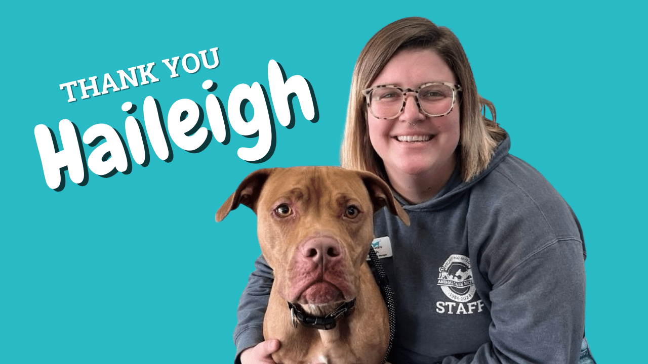 Volunteer Spotlight-Haleigh